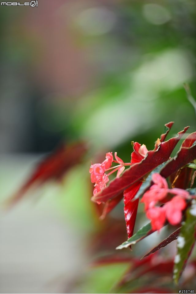 D800 開"箱"