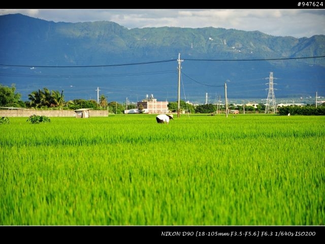 NIKON老兵D90 + KIT + 美到不像話的天空~