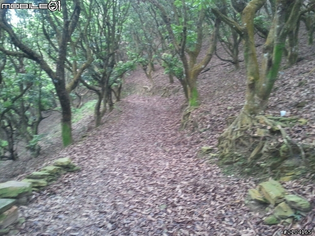 屏東縣尾寮山
