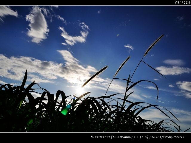 NIKON老兵D90 + KIT + 美到不像話的天空~