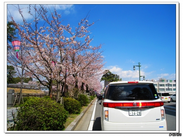 [SKYWAVE TYPE-S]桜X小田原城