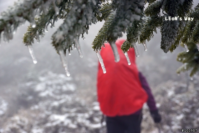[照片分享]2012_0124-0128 冰雪‧嘉明湖