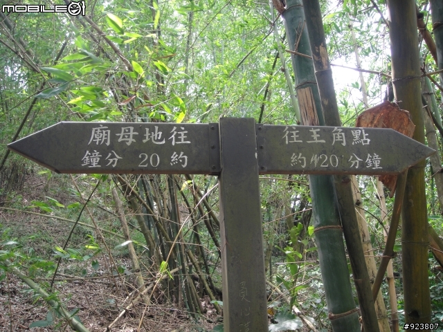 20120421  荷苞山賞桐登山階梯步道