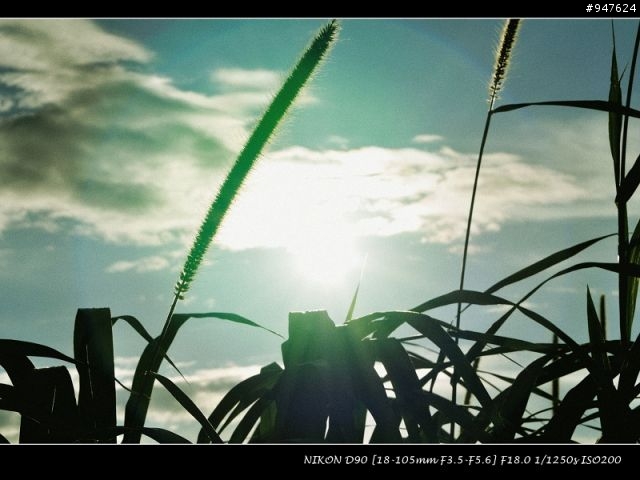 NIKON老兵D90 + KIT + 美到不像話的天空~