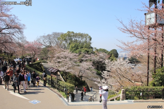 4/7-4/13關西7天6夜賞櫻鐵腿行day02