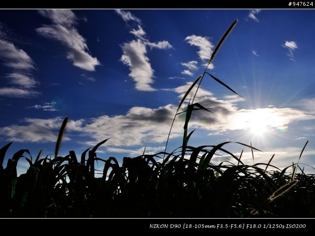 NIKON老兵D90 + KIT + 美到不像話的天空~