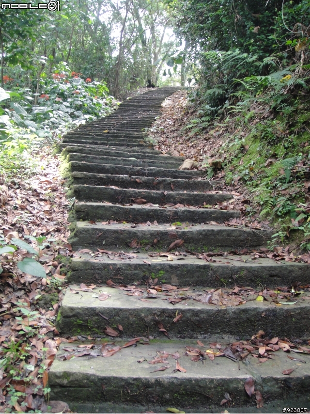 20120421  荷苞山賞桐登山階梯步道