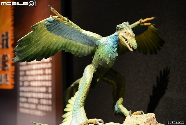 D800拍高雄科工館恐龍展，嘗試以色溫調白平衡。