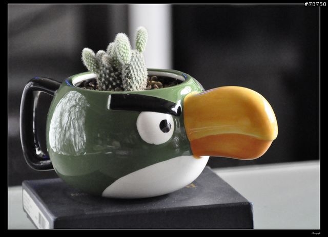 Angry birds 憤怒鳥馬克杯變身為憤怒仙人掌!