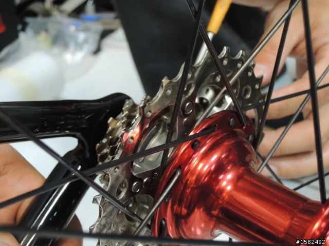 MASI Evoluzione Elite 小小開箱~!!