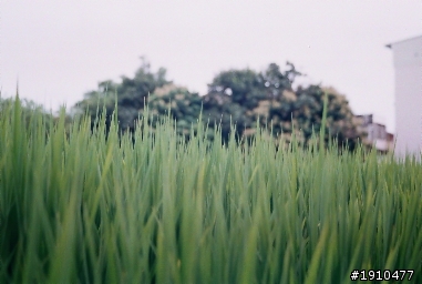 第一次拍底片
