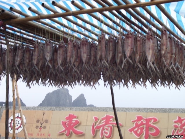 2010 那些蘭嶼的回憶 (圖多)