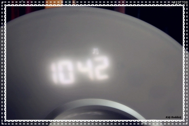 【開箱】HOLA-晨曲森林水氧機