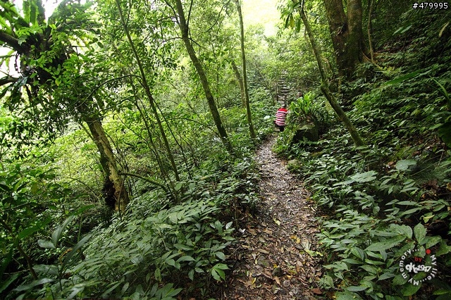 2012-04-14 新竹青蛙石, 水田林道鰻潭瀑布閒晃