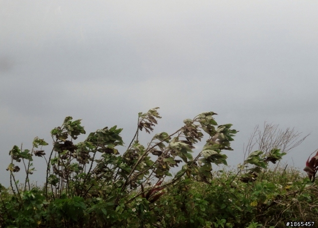 [旅遊]一日千里 ACCORD 環島