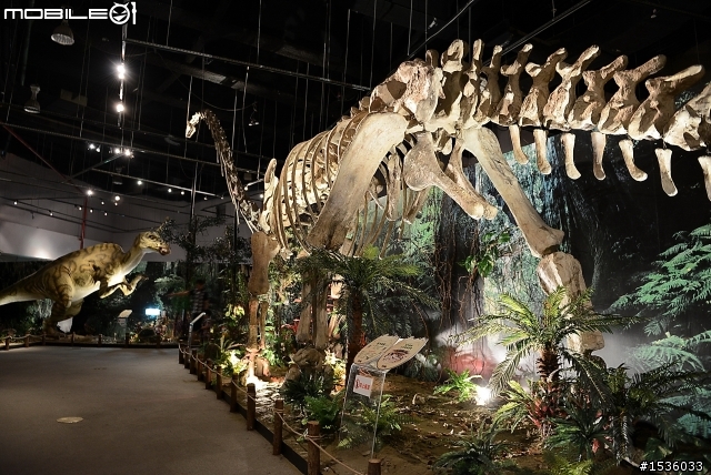 D800拍高雄科工館恐龍展，嘗試以色溫調白平衡。