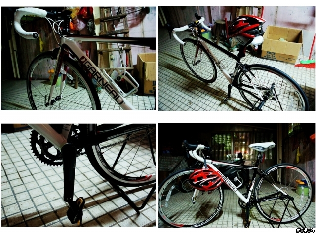 我的第一台6066 鋁合金公路車 LGS-RHC