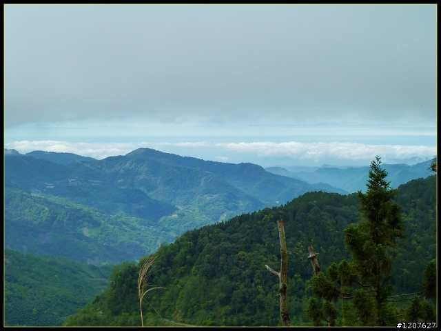 2012.04.01_機車△_阿里山櫻花、雲海、日出