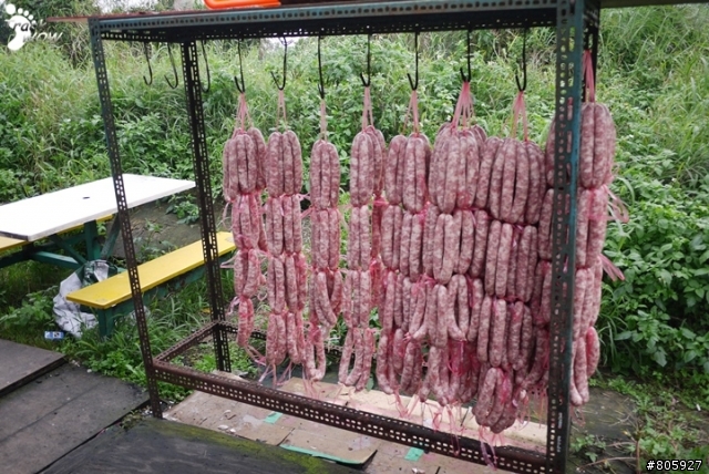 【食記】大樹下大腸包小腸