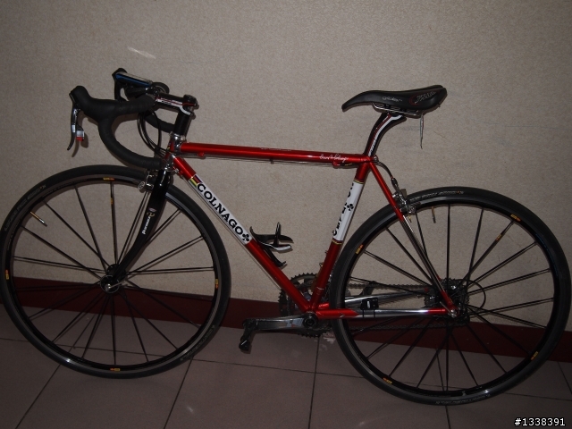 分享 我的可樂果 colnago