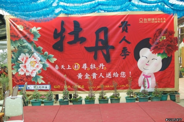 淺談牡丹-----二度遊訪杉林溪牡丹花季有感