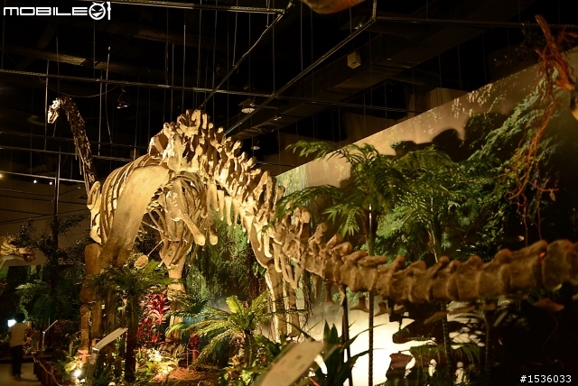 D800拍高雄科工館恐龍展，嘗試以色溫調白平衡。