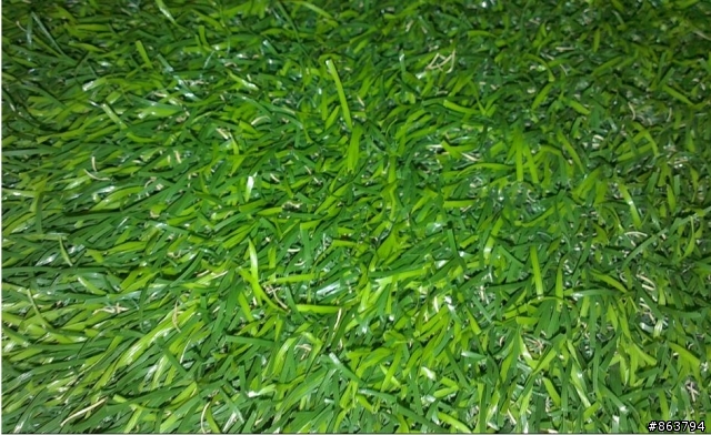 ONE X 拍雜亂線條就會當機?