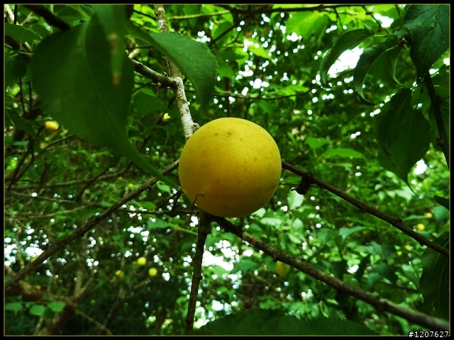 2012.04.15_機車露營_曾文湖濱-情人公園