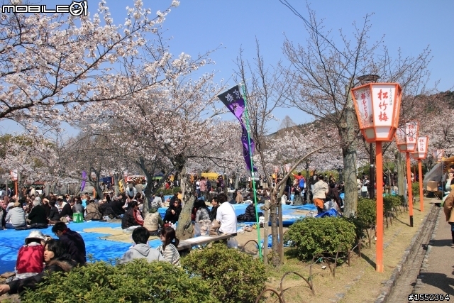 4/7-4/13關西7天6夜賞櫻鐵腿行day02