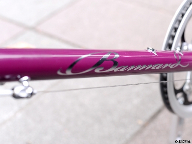 [組車日記] 班納德BANNARD小徑+Bobike mini+ 親子車