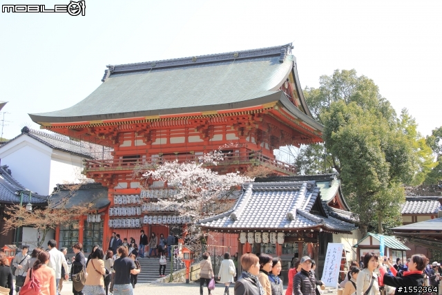 4/7-4/13關西7天6夜賞櫻鐵腿行day02