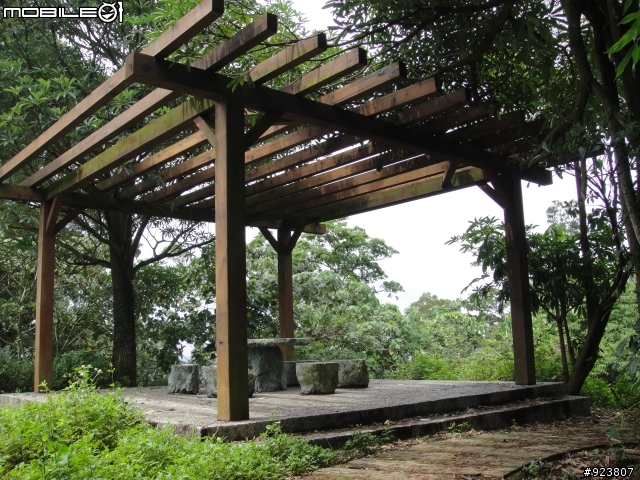 20120421  荷苞山賞桐登山階梯步道