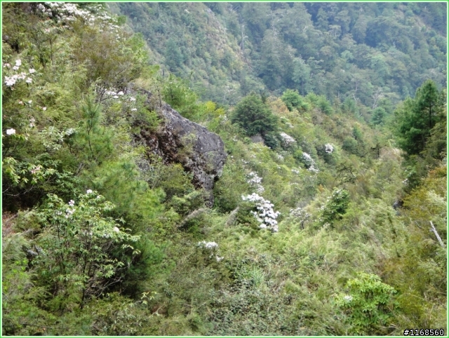 給自己的退休禮物----玉山登頂