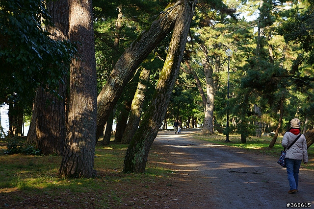 帶著NEX7去旅行--京都、大阪 (99張圖)
