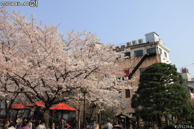 4/7-4/13關西7天6夜賞櫻鐵腿行day02