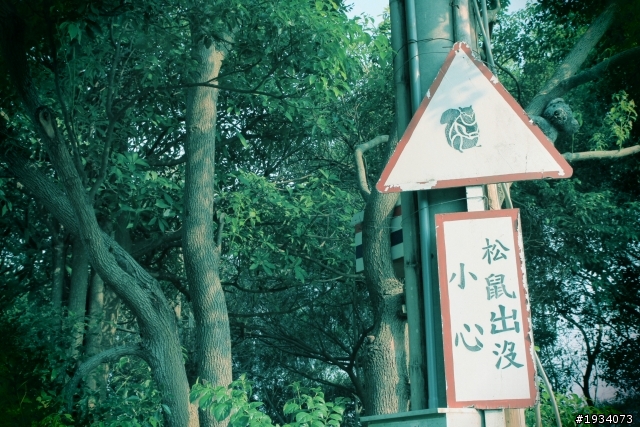 [分享]我的攝影一週年經歷路程