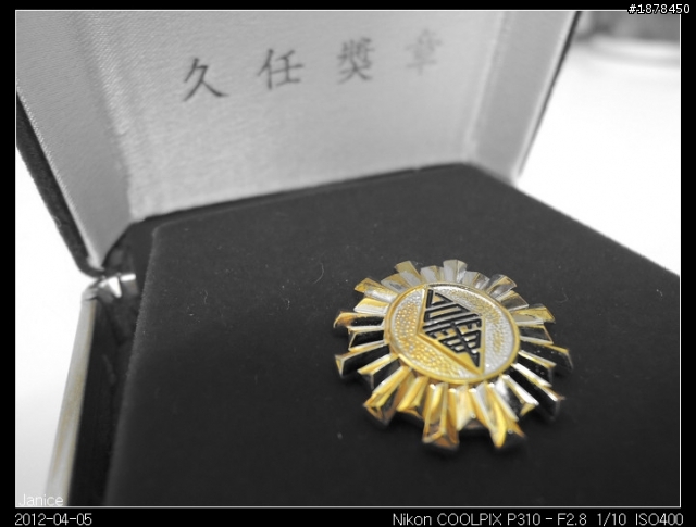 【 Nikon COOLPIX P310 】 一起來蓋大樓吧 (｡◕‿◕｡)❀