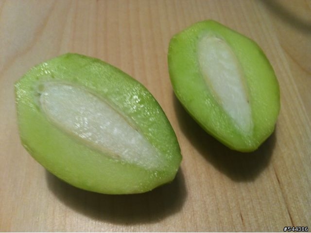 帥麒食譜：芒果青好好吃