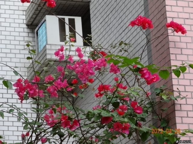 SONY DSC-HX30V 隨意拍