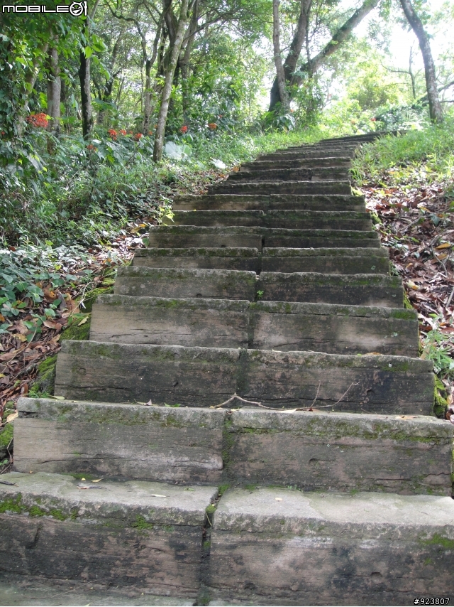 20120421  荷苞山賞桐登山階梯步道