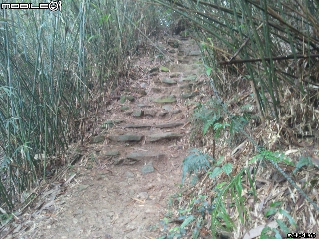 屏東縣尾寮山