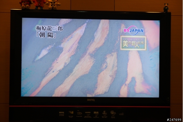 請教一下，這是面版壞了還是哪裡的間題？