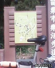 苗栗西湖