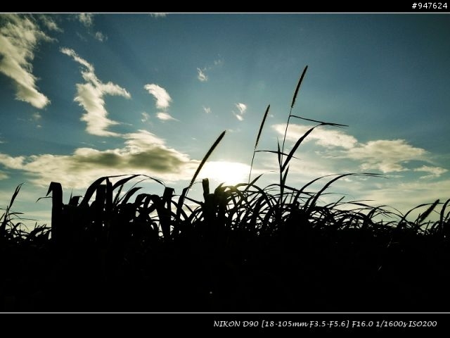 NIKON老兵D90 + KIT + 美到不像話的天空~