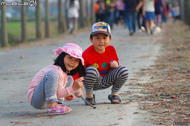 最美的木棉花道-101年林初埤