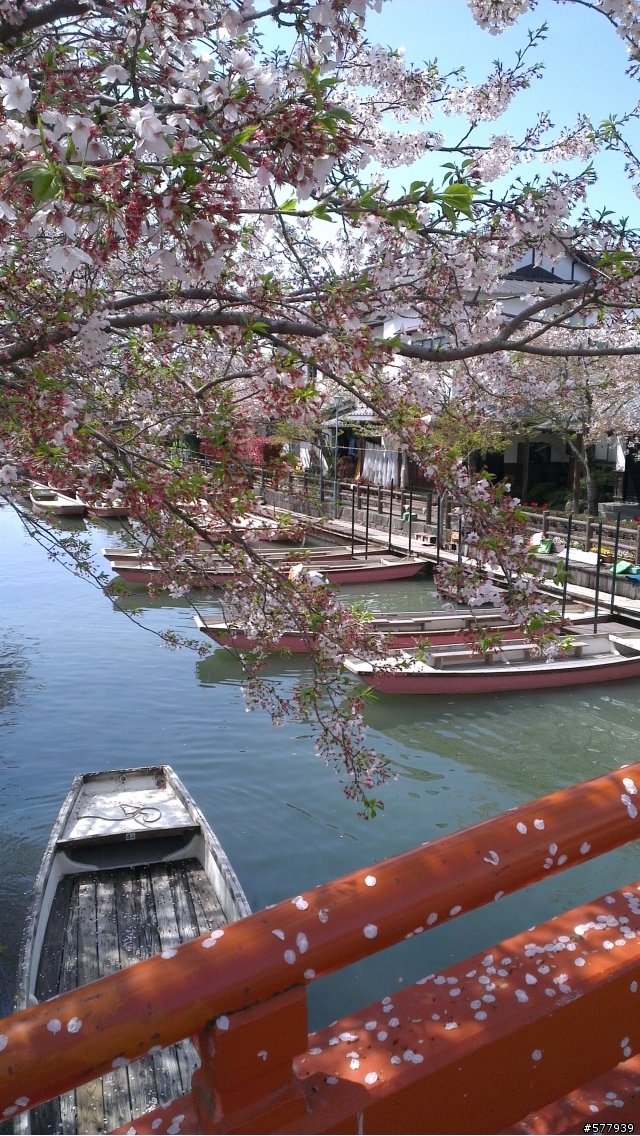 十周年婚慶日本北九州行2012/04/11_DAY-5(下)