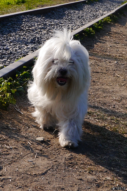 (5/4最終更新!) 甦醒的現代古典 - Panasonic GX1