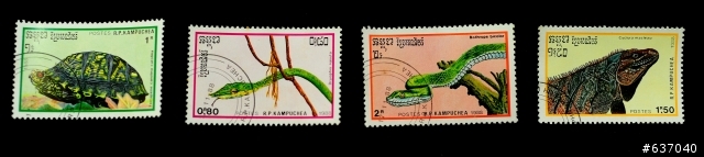 開運鑑定團--邀集各方集郵高手協助鑑定 （圖多）