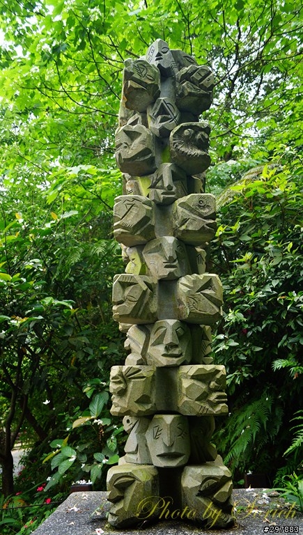 桐花開，賞桐趣