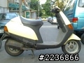 piaggio zip vespa ...